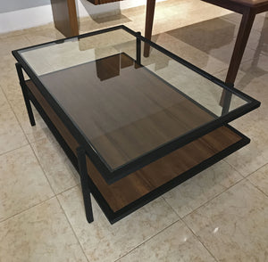 Mesa Central Gina